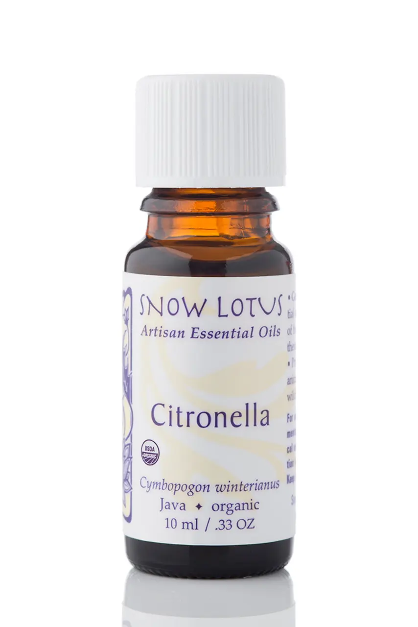 爪娃香茅 10 Citronella Java