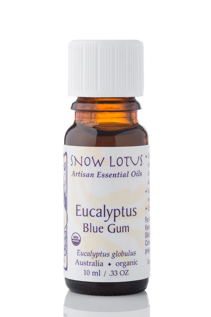 藍膠eucalyptus Blue Gum 60848.1585531444