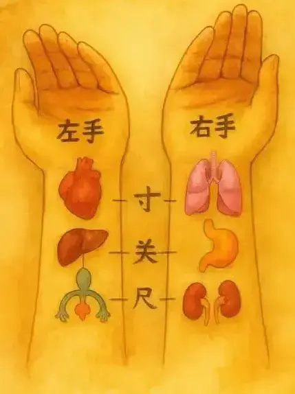 583921338 122273162672167164 2438045605132256967 N 1